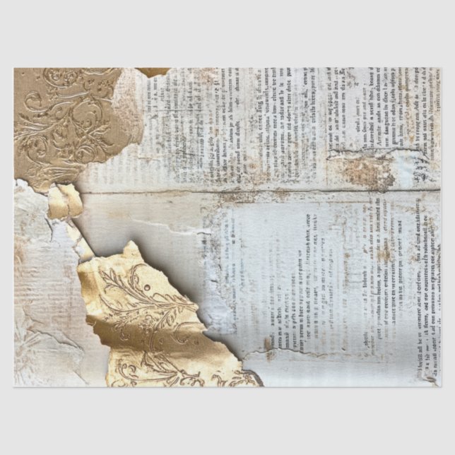 Seda Papel antigo com bordas rasgadas parede rachada de (Frente )