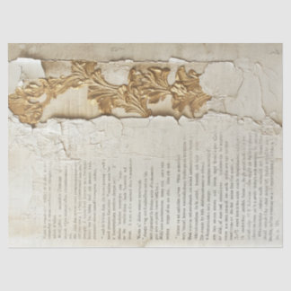 Seda Papel antigo com bordas rasgadas parede rachada de