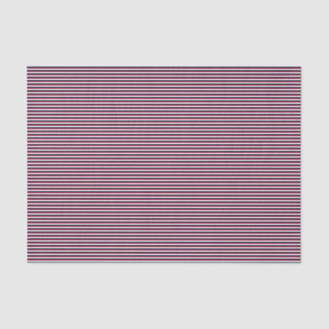 SEDA PAPEL DE ARMAZENAMENTO RWB 17-TISSUE (Frente )