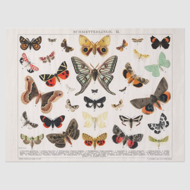 Seda Papel de borboletas para tecidos ou desacoplamento (Frente )