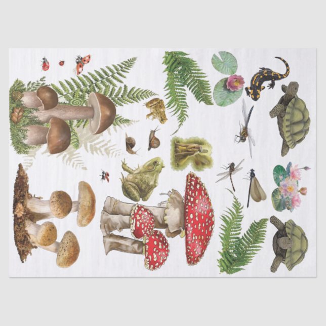 Seda Papel de decodificação de banheiras (Frente )