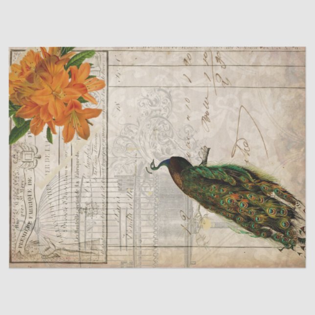 Seda Papel de Decoupage das coisas efêmeras do pavão (Frente )