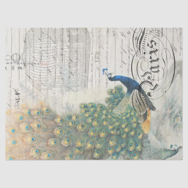 Seda Papel de Decoupage das coisas efêmeras do pavão (Frente )