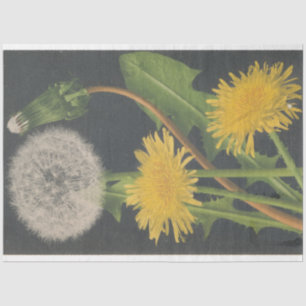 Seda Papel de Decoupage de Mobília Dandilion