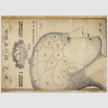 Papel de Decoupage de Mobiliário Apothário