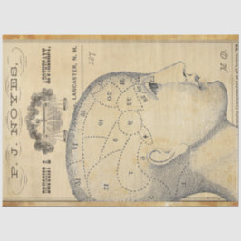 Seda Papel de Decoupage de Mobiliário Apothário