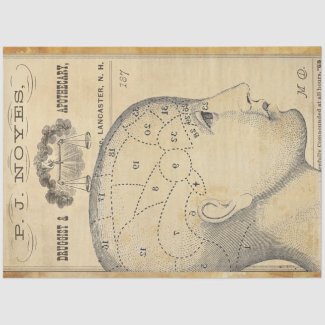 Seda Papel de Decoupage de Mobiliário Apothário (Frente )