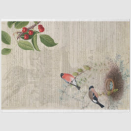 Seda Papel de Decoupage de Mobiliário Patriótico