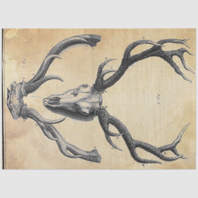 Seda Papel de Decoupage do Antler (Frente )