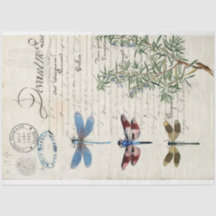 Papel de Decoupage do Mobiliário de Dragonfly