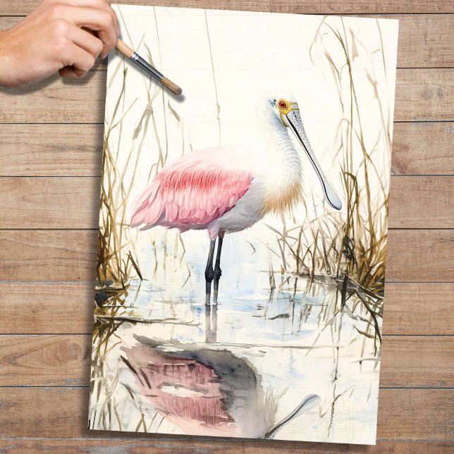 Seda Papel de Decoupage do Spoonbill 1 (Criador carregado)