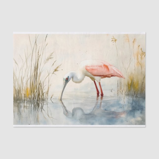 Seda Papel de Decoupage do Spoonbill 6 (Frente )