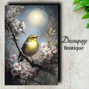 Seda Papel de Decoupage Flor de Cerejeira Lua Papa-Amar