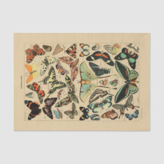 Seda Papel de dissociação 10"x15" - Borboleta de vintag