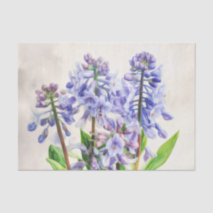 Seda Papel de dissociação BLUEBELLS