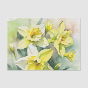 Seda Papel de dissociação DAFFODILS