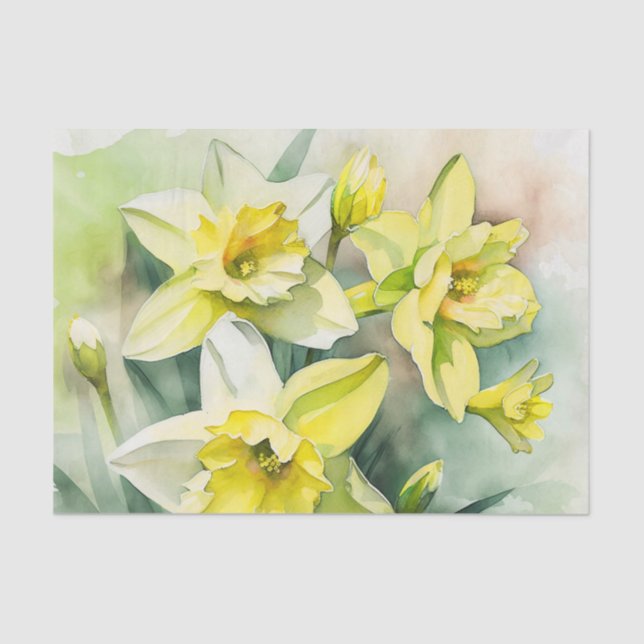 Seda Papel de dissociação DAFFODILS (Frente )