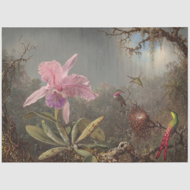 Seda Papel de dissociação de aves e íris (Frente )