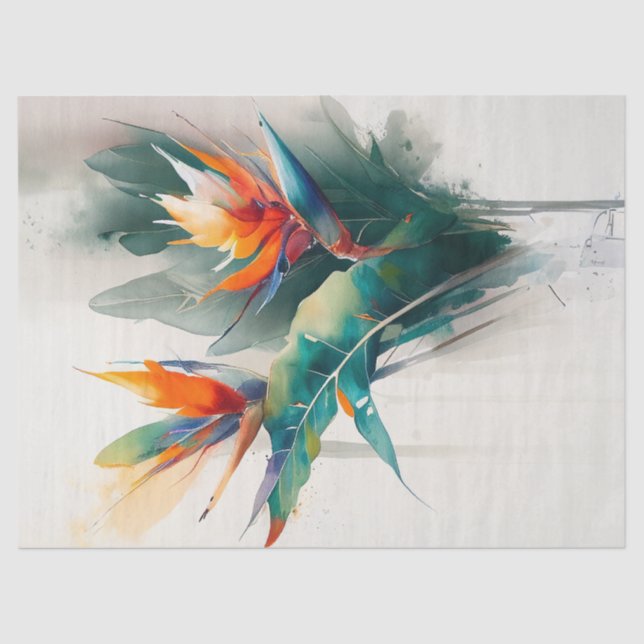 Seda Papel de dissociação, enrolamento, - Distribuidor  (Frente )