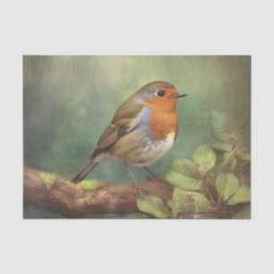 Seda Papel de dissociação ROBIN