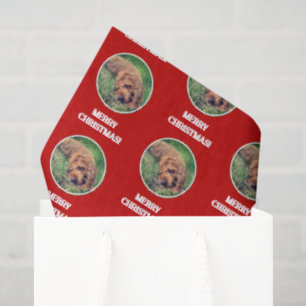 Seda Papel de embrulho vermelho Golden Doodle