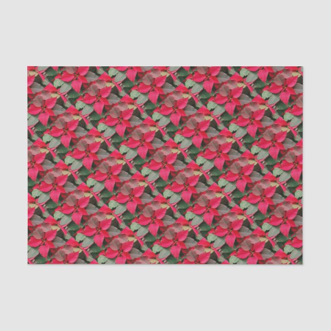 Seda Papel de enrolamento Red Poinsettia (Frente )