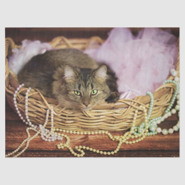 Seda Papel de lenço de festas (Frente )