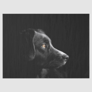 Seda papel de lençol labrador preto
