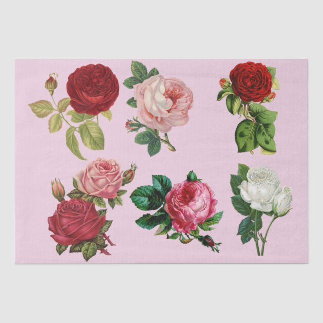 Seda Papel de lenços de galeria rosa (Frente )