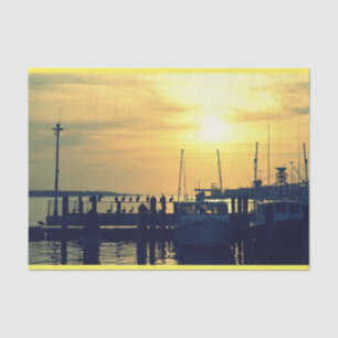 Seda Papel De Pista De Pesca