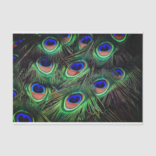 Seda Papel de Presente de Tecido de Pancete (Frente )