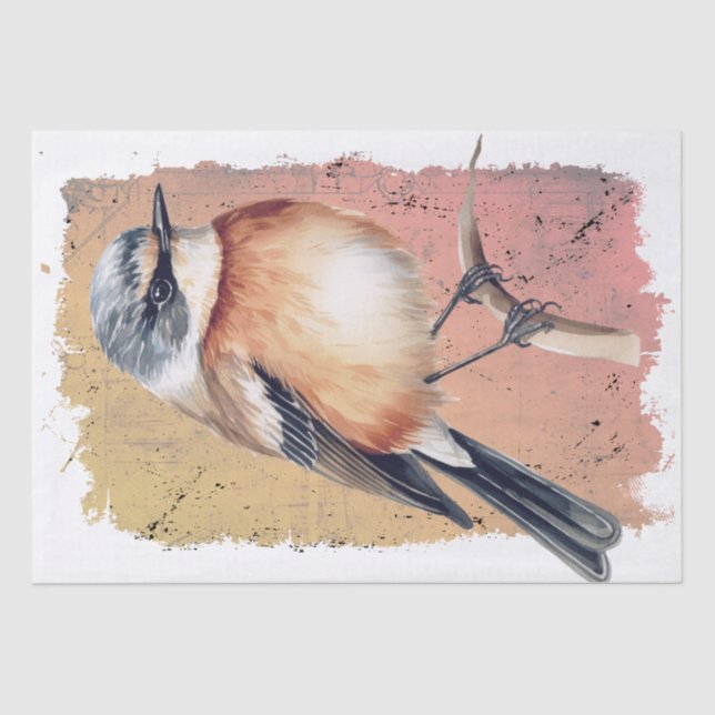Seda Papel de Tecido Afro-Stonechat (Frente )