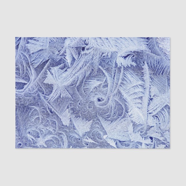 Seda Papel de tecido de 10 lb, personalizado e congelad (Frente )