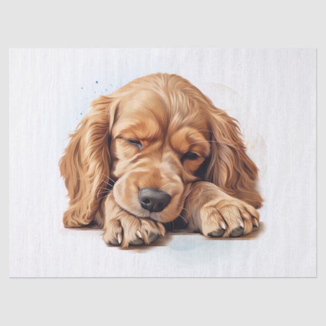 Seda Papel de Tecido de Aquarela Americano no Paniel (Frente )