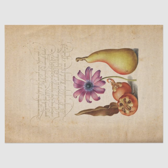 Seda Papel de Tecido de Caligrafia Manuscrito Iluminado (Frente )