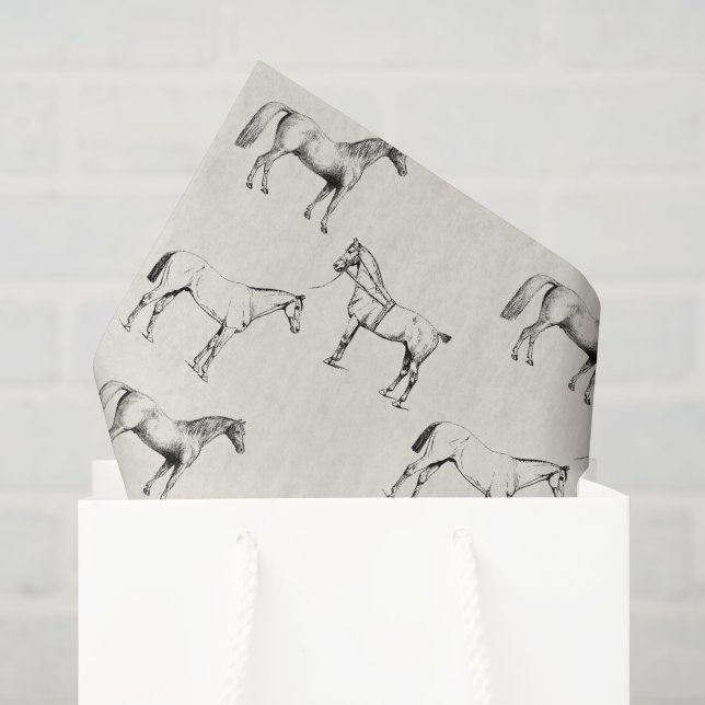 Seda Papel de Tecido de Cavalo para Sacolas de Presente (Sacola de presentes)