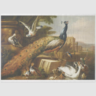 Seda Papel de Tecido de Decodificação de Pintura de Pav