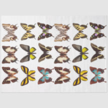 Papel de Tecido de Decoupage de Coleta de Borbolet