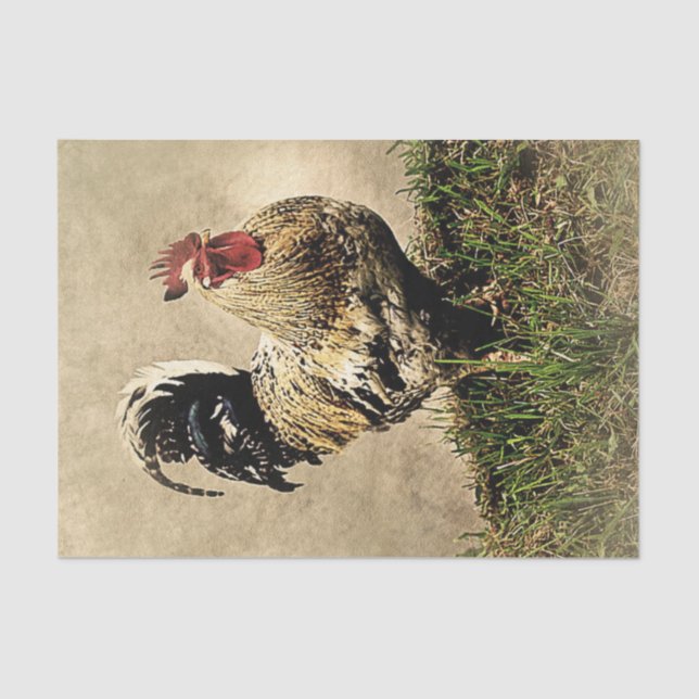 Seda Papel de Tecido de Decoupage de fazenda Rooster (Frente )