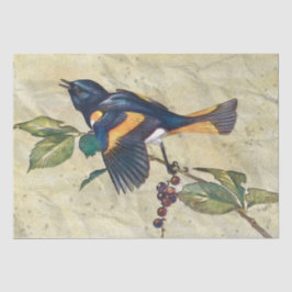 Seda Papel de Tecido de Decoupage de Pássaro Redstart A