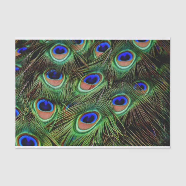 Seda Papel de Tecido de Decoupage de Penas de Peacock (Frente )