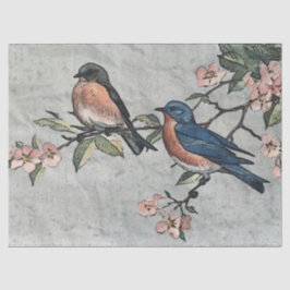 Seda Papel de Tecido de Decoupage do Bluebird Oriental
