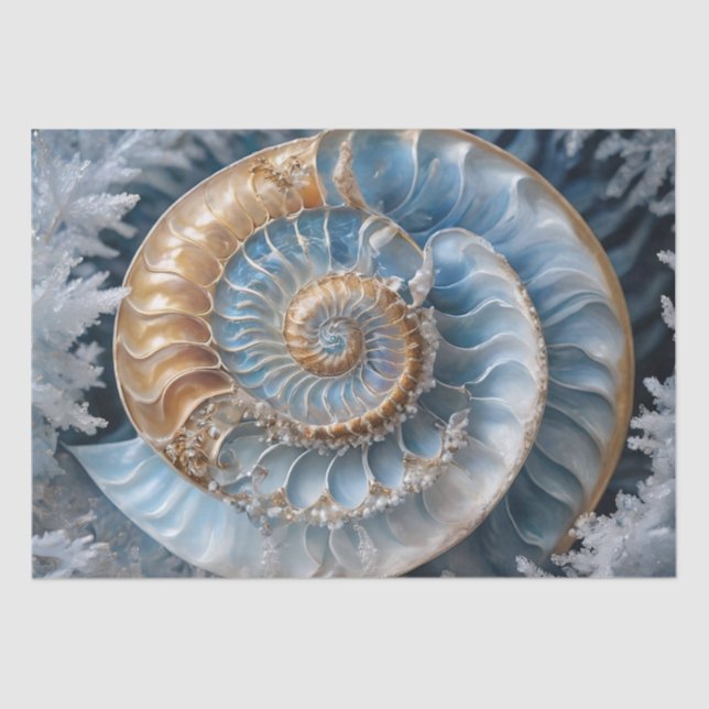 Seda Papel de Tecido de Decoupage do Nautilus Shell Den (Frente )