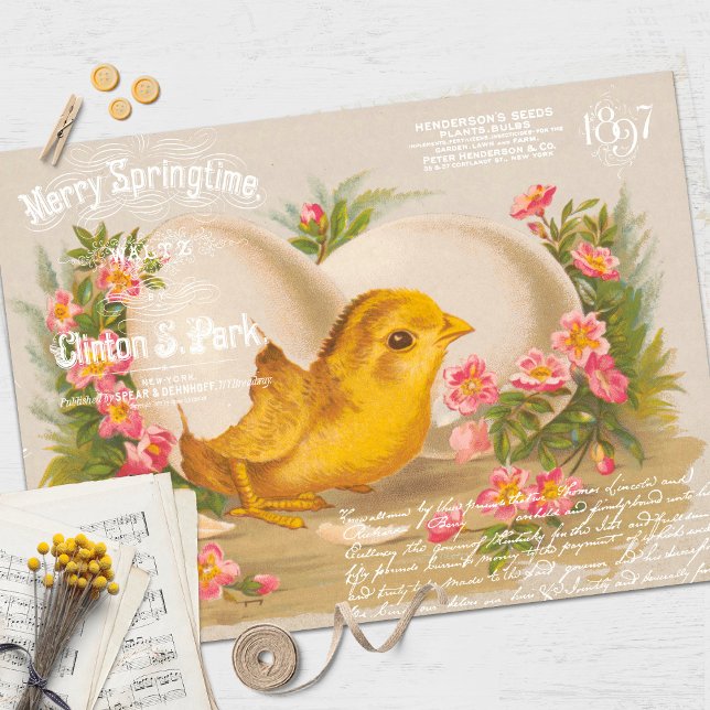 Seda Papel de Tecido de Decoupage do Pintinho de Páscoa (Criador carregado)