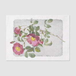 Seda Papel de Tecido de Decoupage Rosa 45 Flor