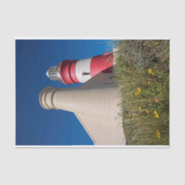 Seda Papel de Tecido de Farol