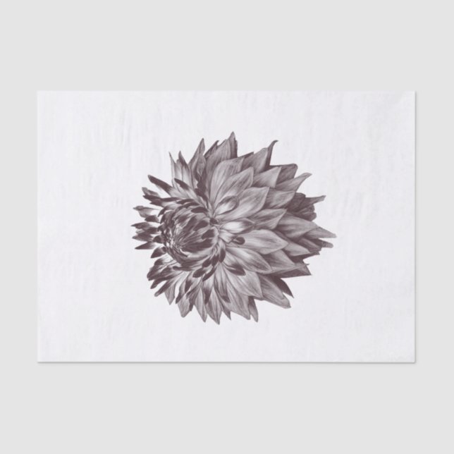 Seda Papel De Tecido De Flor Grande Para Presente De Ar (Frente )