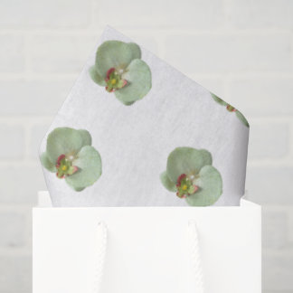 Seda Papel de Tecido de Orquídea
