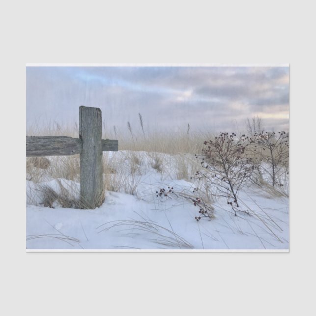 Seda Papel de Tecido de Quebra do Presente na Praia (Frente )