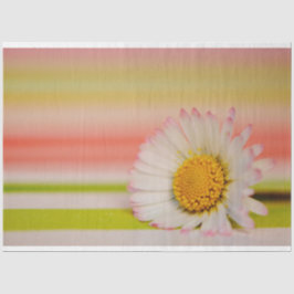 Seda Papel de Tecido Floral